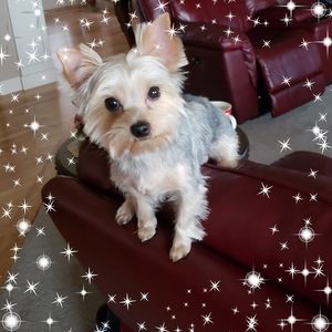 Meet your Posher, Cheryl